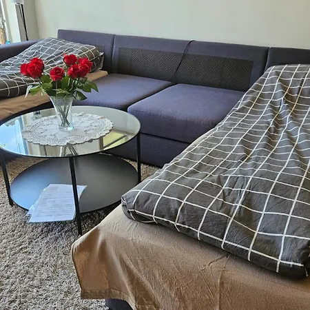 Cozy Trondheim, Free Parking In The Basement * Trondheim