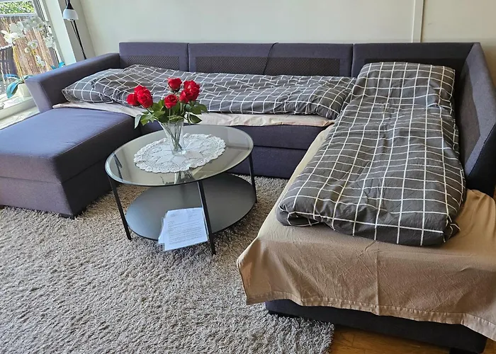 Cozy Trondheim, Free Parking In The Basement *